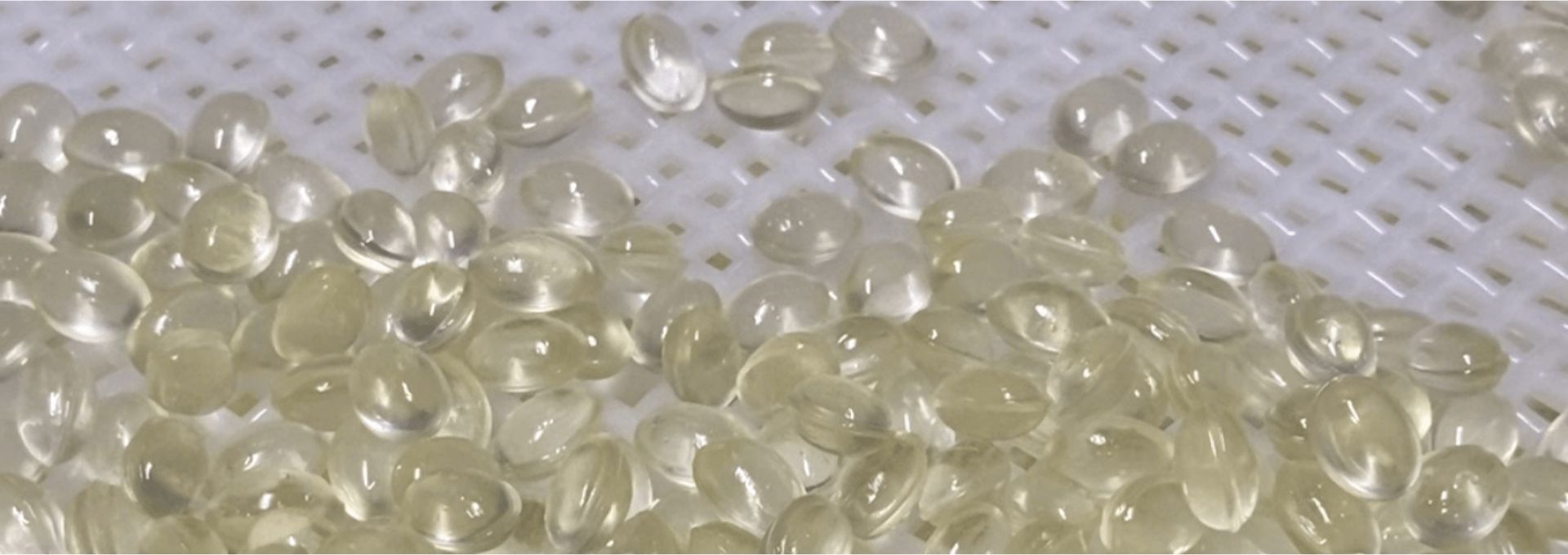 植物素食軟膠囊